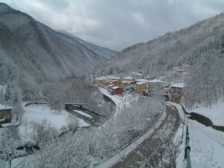  Image name: DSCF3857.JPG 
 width: 320 pixel 
 height: 240 pixel 
 Size: 22307 bytes 
 Click to enlarge 